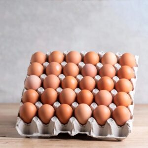 Fresh Eggs - 30s